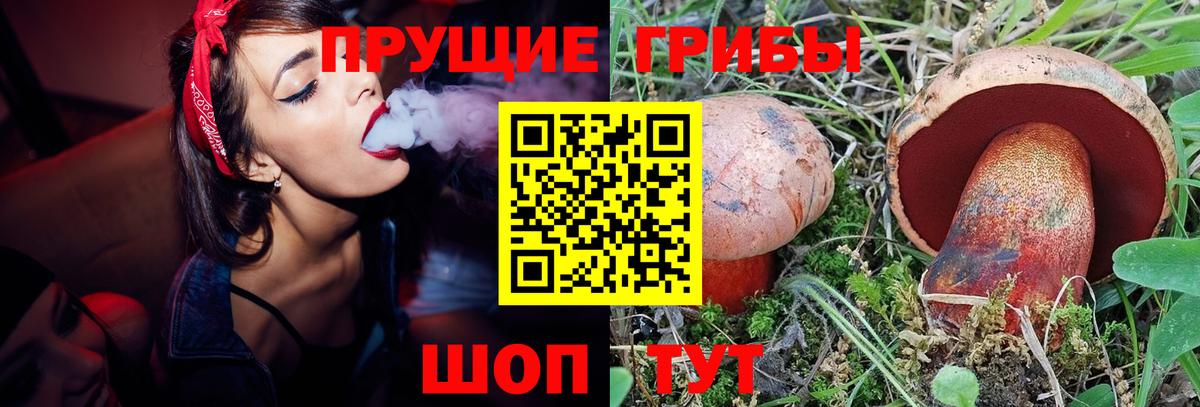 Галлюциногенные грибы мухоморы Людиново