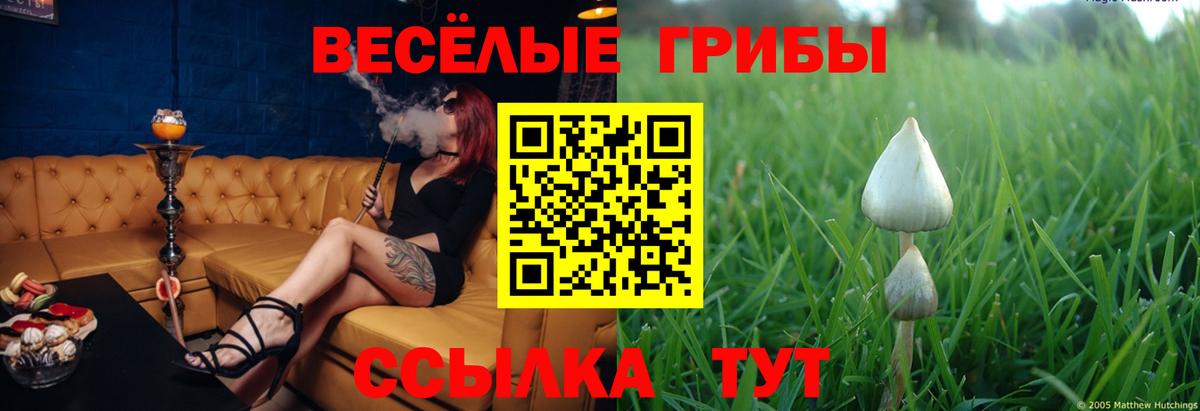 Псилоцибиновые грибы Psilocybine cubensis  Псилоцибиновые грибы Magic Shrooms  Вход с VPN  Людиново 